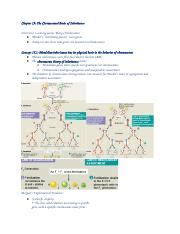 Chapter 15 The Chromosomal Basis Of Inheritance Docx Chapter 15 The