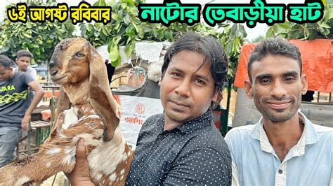 নাটোর তেবাড়ীয়া হাট থেকে তোতাপুরী হরিয়ানা ক্রস বাচ্চা ও বড় ছাগলের