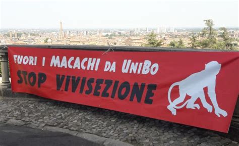 Bologna Striscione Contro L Ultilizzo Dei Macachi Per La