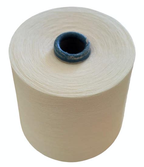 Twisted Ply S Combed Gassed Mercerised Cotton Cone At Rs Kg