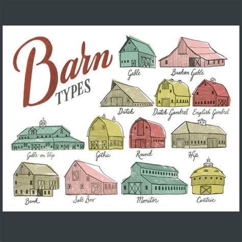 Barn Types Print Print Type Illustration Barn