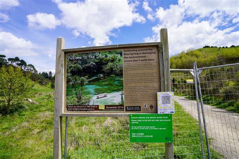 Putaruru Blue Springs Te Waihou Walkway: Waikato's best kept secret.