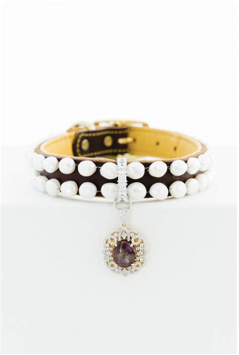 Outrageous or Fabulous? These 7 Designer Dog Collars Cost More Than ...