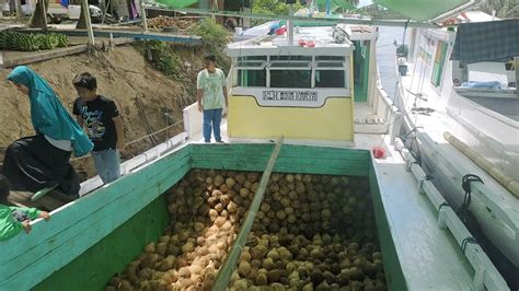 Keseruan Naik Kapal Barang Kayu Di Sungai Budong Budong Kapal Finisi