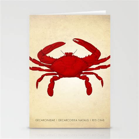 Red Crab Crab Art Print Crab Print Crab Art Crab Beach Decor