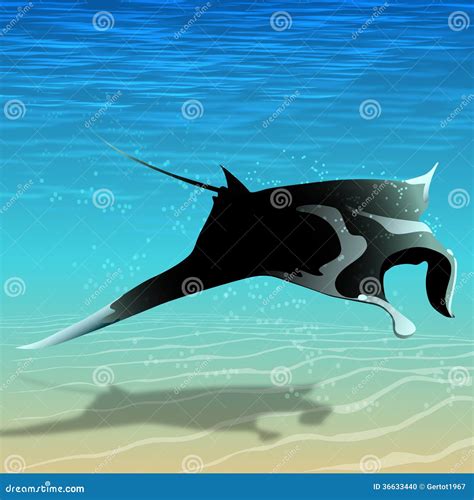 Flying manta ray stock illustration. Illustration of water - 36633440