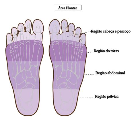 Reflexoterapia Podal O Que Dora Brasil Consultoria