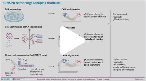 Single Cell CRISPR Screening - 10x Genomics