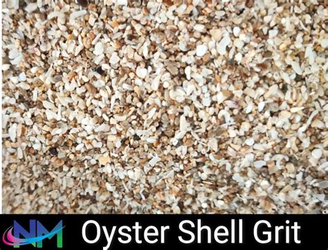 Pallets 3mm Oyster Shell Grit Packaging Type Loose At Rs 9000tonne In Veraval