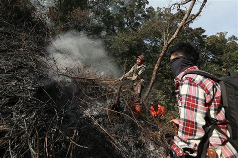 Kebakaran Hutan Terjadi Di Kaki Gunung Burangrang Spirit News