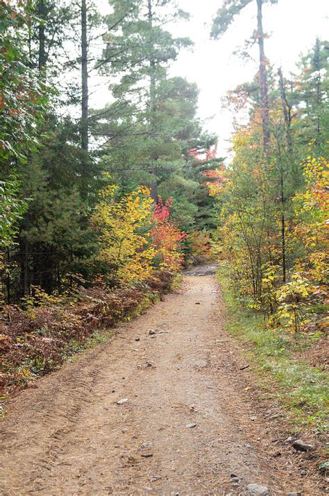 Eagle Nest Trail 2 Photograph By Bob Corson Fine Art America