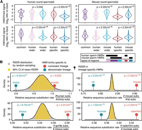 Sperm Dna Methylation Divergence Is Accompanied By Sperm Histone