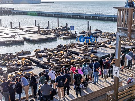 How to Reach Pier 27 Cruise Terminal in San Francisco 32