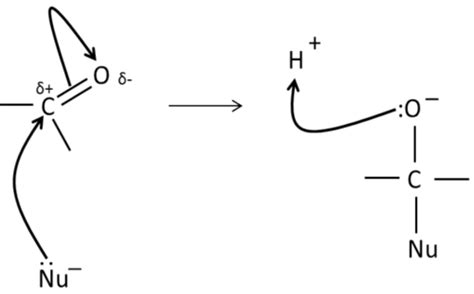 Jan Mocks Aldehydes And Ketones Flashcards Quizlet