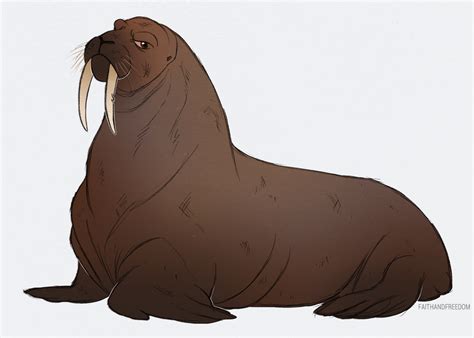 Walrus by faithandfreedom on DeviantArt