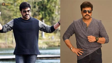 Incredible Compilation of 999+ Chiru Images in Stunning 4K Resolution