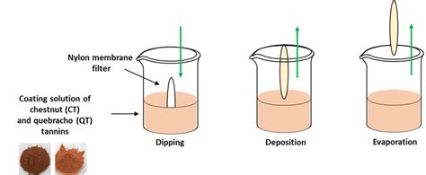 Schematic Representation Of The Dip Coating Technique For Thin Film