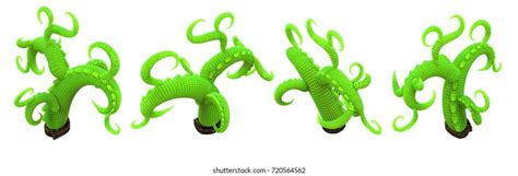 Science Cartoon Teaching About Hydra Budding Stock Vector Royalty Free