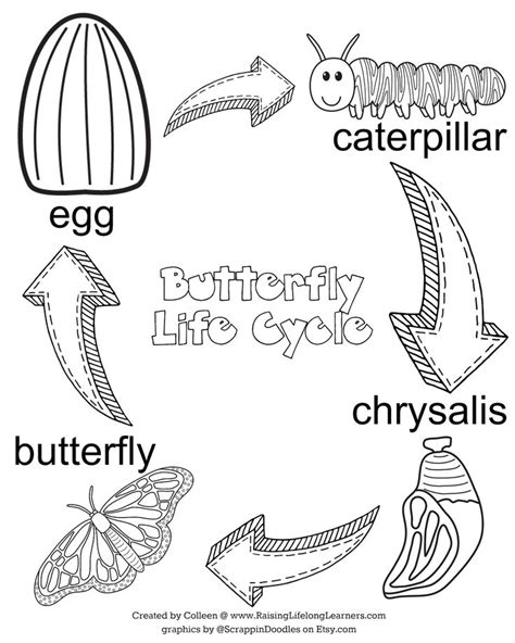 Caterpillar Egg Coloring Page 125 Dxf Include