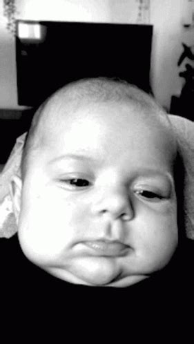 fine cool gif fine cool  discover share gifs