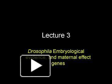 Ppt Drosophila Embryological Evidence And Maternal Effect Genes