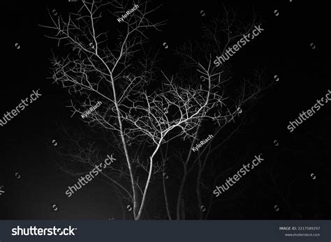 1 268 Naked Ghost Images Stock Photos Vectors Shutterstock