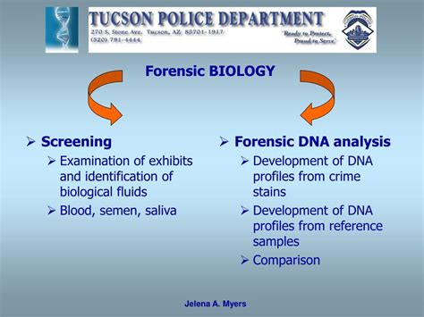 Ppt Forensic Dna Analysis Jelena A Myers Senior Criminalist Dna Powerpoint Presentation