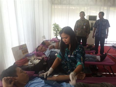 Setetes Darah Untuk Sejuta Harapan Pt Kiw Gelar Donor Darah Kabar One