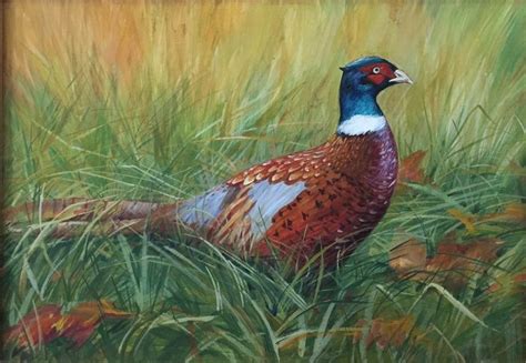 Pheasant Painting Original Acrylic Painting Bird Painting Etsy Canada