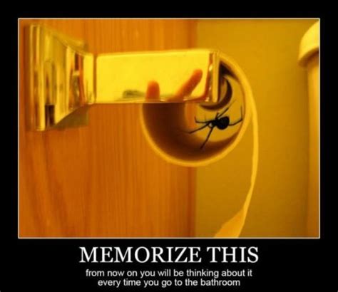 Spider In Toilet Paper Roll Pics Demotivational Poster How To Memorize Things Wall Lights