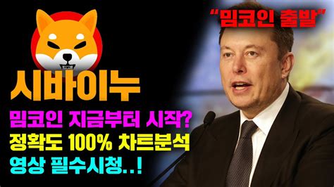 시바이누 긴급 정확도 100 차트분석 밈코인 지금부터 시작 영상 필수시청 코인시황 Youtube