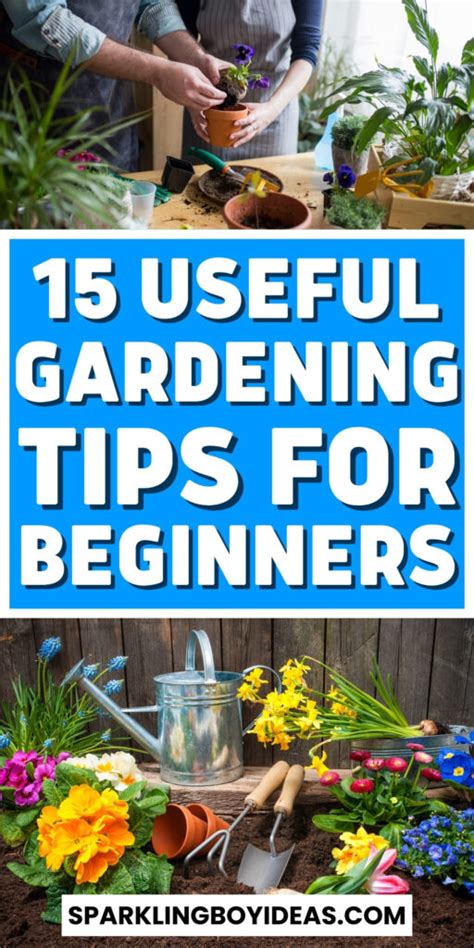 15 Best Gardening Tips For Beginners Sparkling Boy Ideas