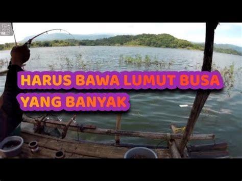 Mancing Kesini Harus Bawa Umpan Yang Banyak Mancing Jatigede Wado