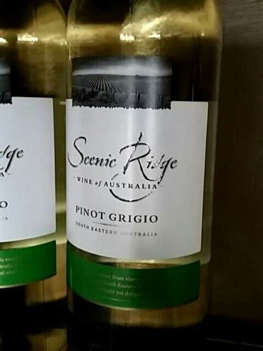 2020 Scenic Ridge Pinot Grigio Vivino US