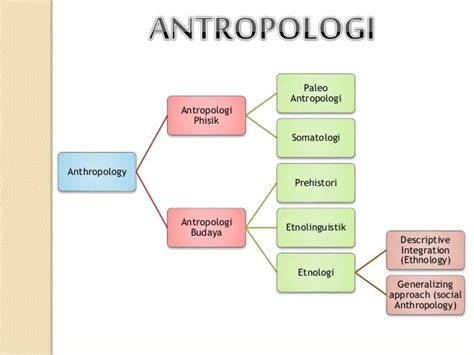 Detail Contoh Antropologi Fisik Koleksi Nomer