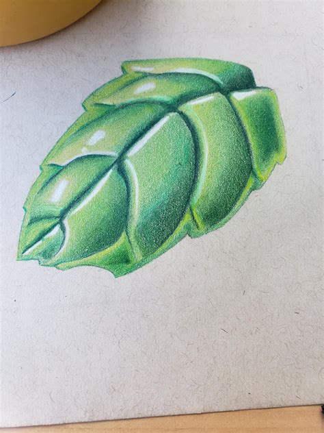 First Color Pencil Piece Very Humbled By The Experience But I Learned Color Pencils Are A Very