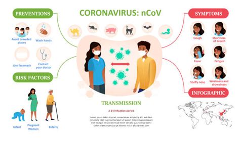 covid  symptoms infographic illustrations royalty  vector