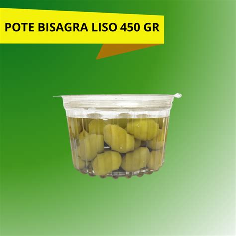 POTE BISAGRA LISO 450 GR APG Logistics