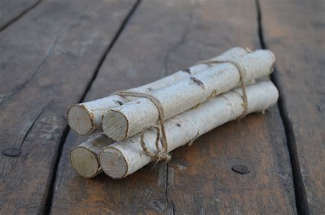 Birch Bundle Logs Of White Birch Logs Rustic Craft Supply Etsy Canada