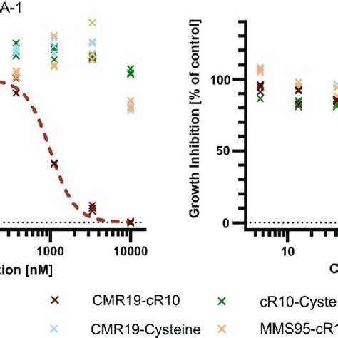 Cell Proliferation Assay With SJSA 1 And SW 480 Cells Treated With