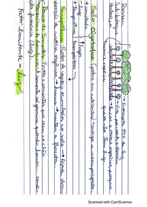 Solution Biologia Biomas Floresta Studypool