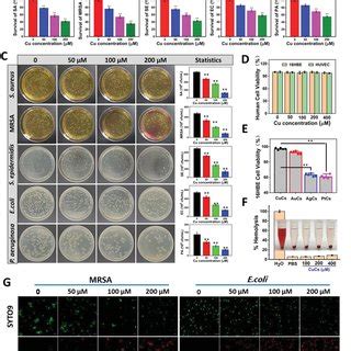 In Vitro Antibacterial Activities And Biosafety Of CuCs A Growth