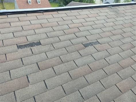 The Silent Guardian Understanding And Addressing Missing Shingles On Your Roof Roofing Tips