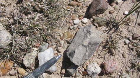 One Inch Long Folsom Projectile Point Found Within Ten Miles Of