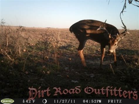 Deer Hunting Outfitters Kansas