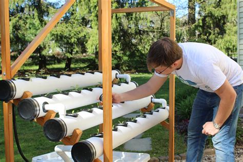 How To Start A Hydroponic Garden Storables