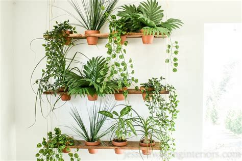 How To Build Indoor Vertical Garden