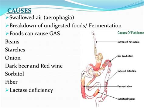 Gas Block Dimple Jig: Causes For Excessive Intestinal Gas