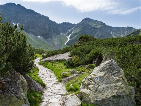 무료 이미지 경치 자연 통로 황야 보행 하이킹 꼬리 모험 국가 국립 공원 산등성이 지질학 산들 알프스