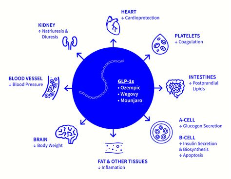 Semaglutide - Goodyear, AZ & Glendale, AZ: Optimal Men's Center